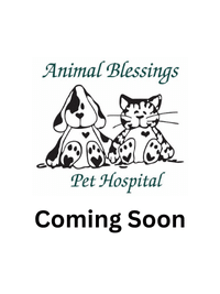 Coming Soon (2) coming soon