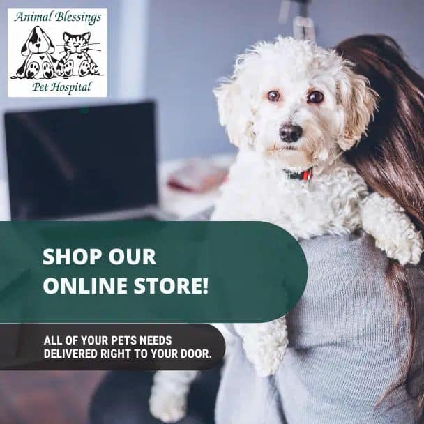 shop our store shop our online store graphics